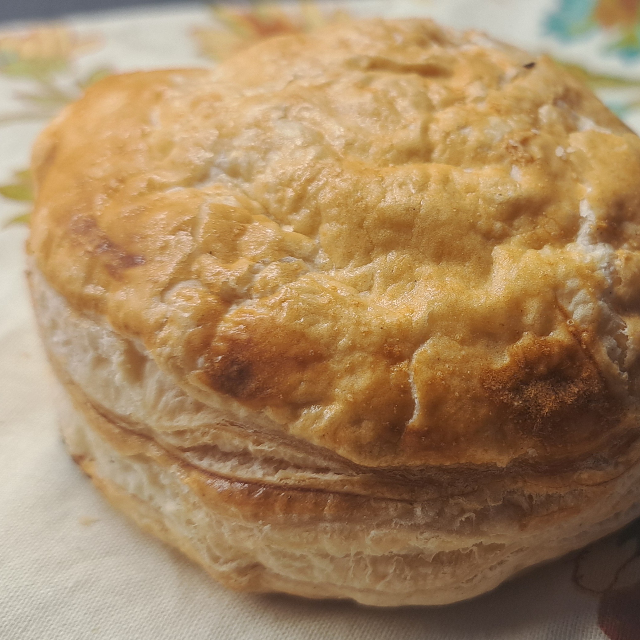 Pastelillo De Pollo