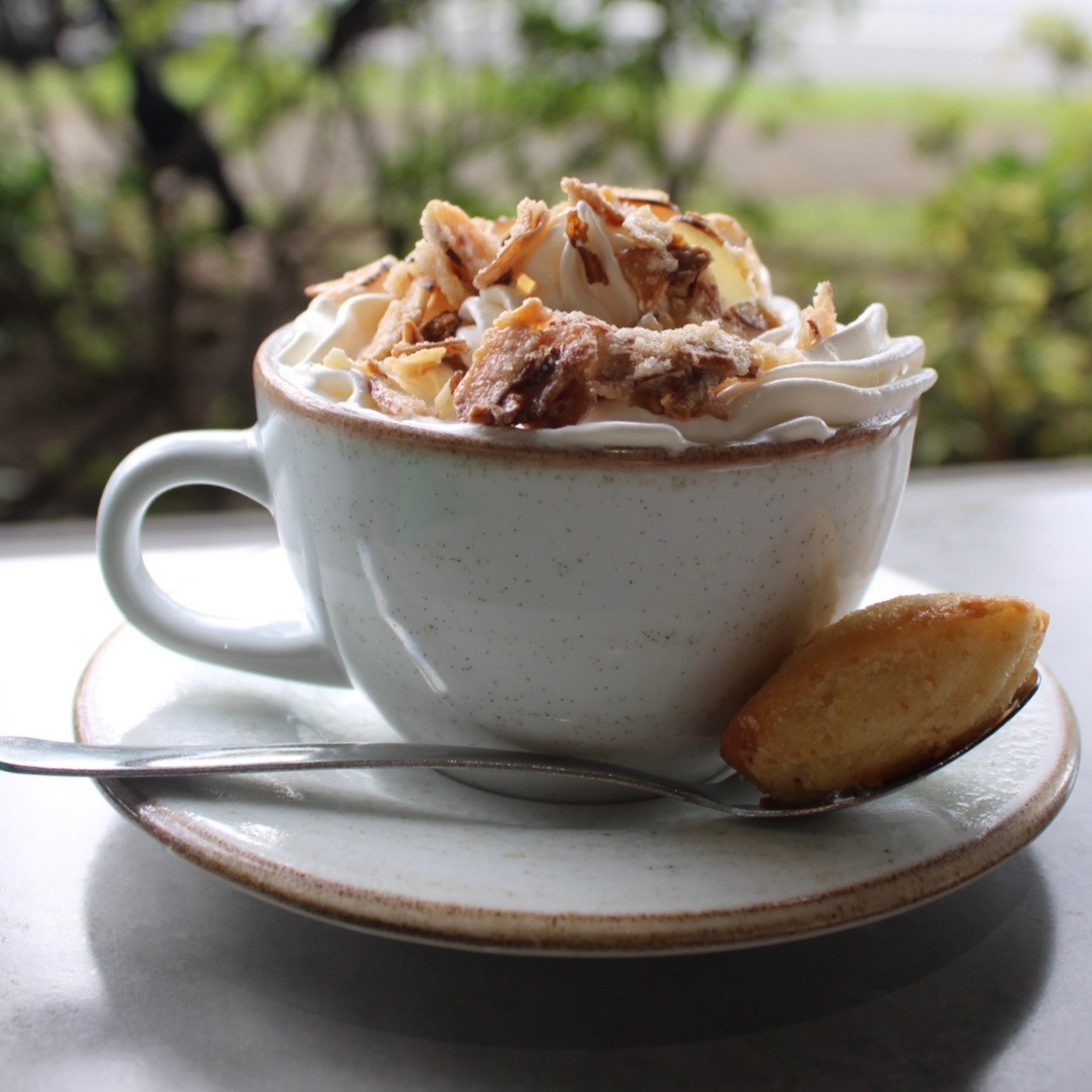 Madeleine Latte 6oz-8oz
